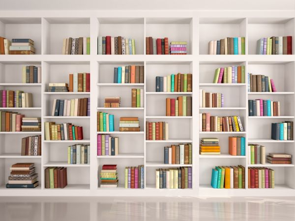 Bookshelf Assembly in Dublin